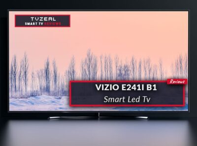 VIZIO E241I B1 Review